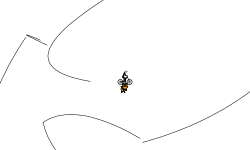 helikopter is back