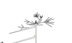 The Tree