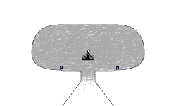 Bug