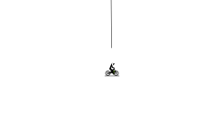 Trainer Rope