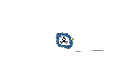 spin 4 ever