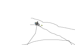 100 star run