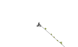 Speed run