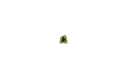 170STARS