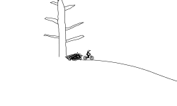 "the jumps"