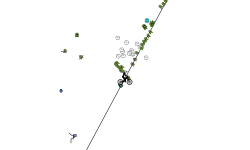 The Line