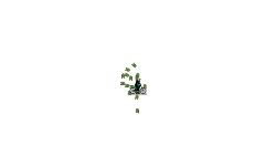flyyyyyyyyyyyyyyyyyyyyyyyyyyyy