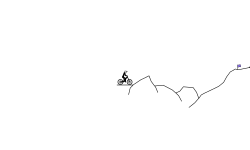 Off Road Challenge