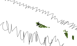 nnnnn auto