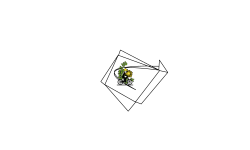 0.00 sec run