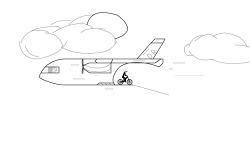 Fly