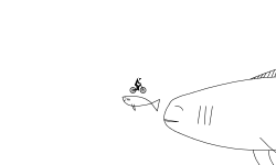 SALMON!!!