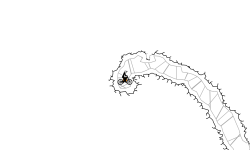 Heli cave