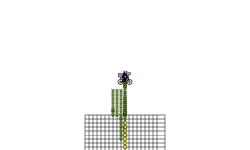 Grid