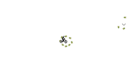 auto run