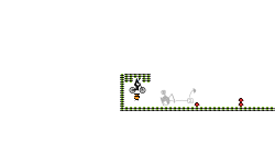 Pogo Stick