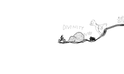 Divinity NTBF