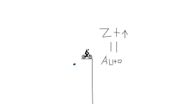 z auto