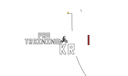PRO TRAINING