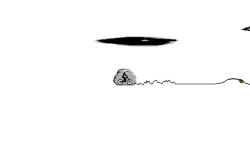 Don't Fall