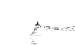 Cliff Run