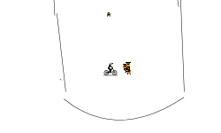 the helcopter