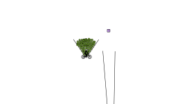 Automatic track
