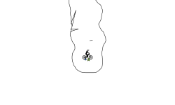 CAVE AUTO