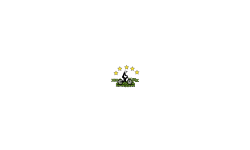 Just A green auto