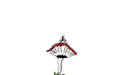 WiLd MuShRoOm