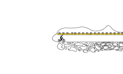 Mountain Bike Wheelie