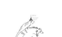 continue map ??? wolf map
