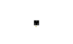 Black Box