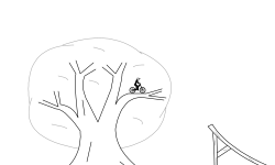 Woods Race