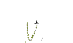 glitch auto