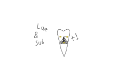 Love is everywhere plzLove&sub