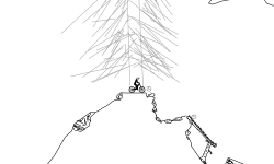 forest 2