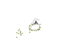 circle