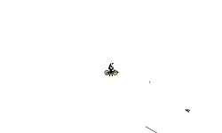 heli auto