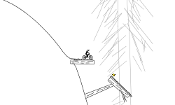 forest run