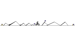 line contest!