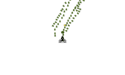 Follow the Green Boost Path