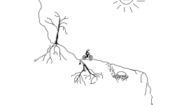 Mountain Cave
