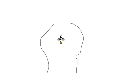 hav fon