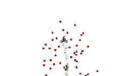 A very huge fall