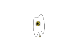 Egg Yolk