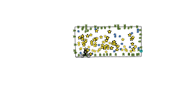 1,000 Stars