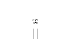 falling... (DESC)