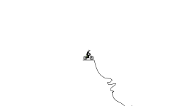 backflip auto