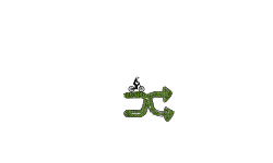 Random Button